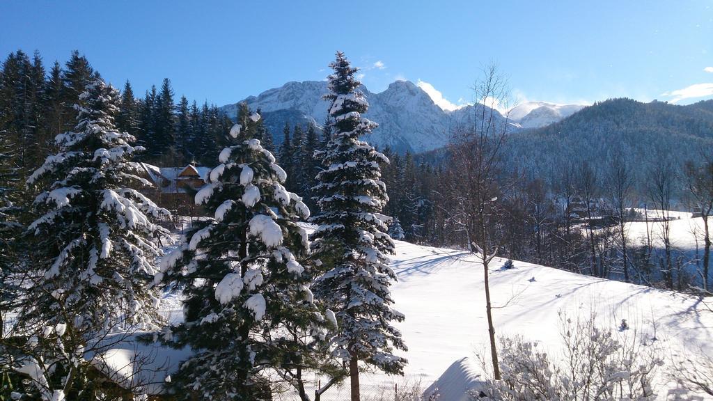 Villa Tatrydom Zakopane Kamer foto